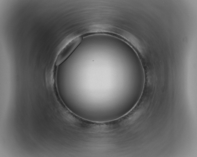 X0000110670885200906121307