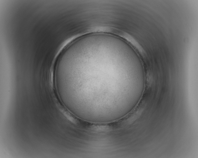 X0000110670886200906121307