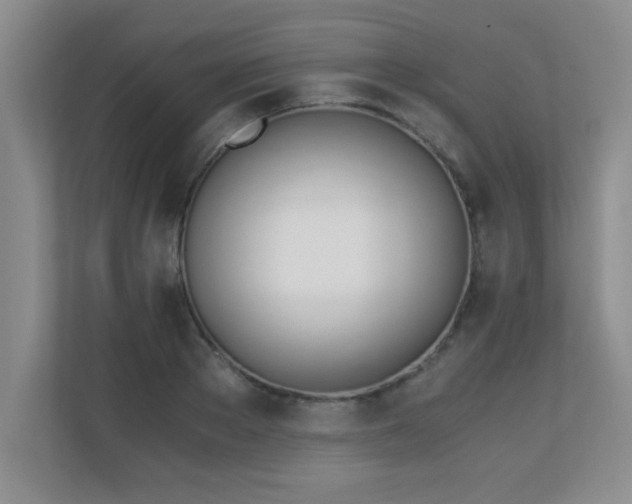 X0000110670889200906121307