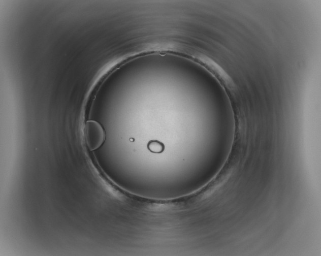 X0000110670894200906121307