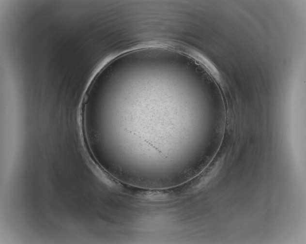 X0000110670907200906121307