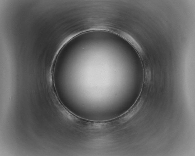 X0000110670908200906121307