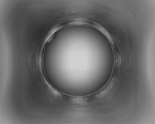 X0000110670909200906121307