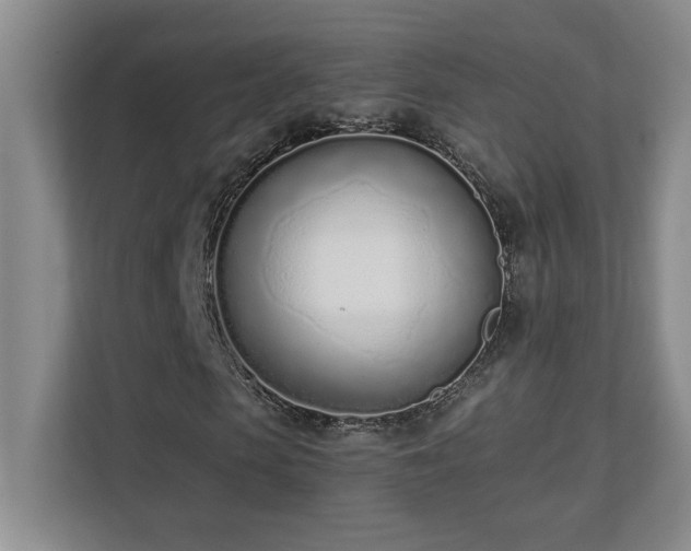 X0000110670913200906121306