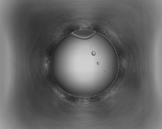 X0000110670914200906121306