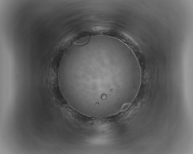 X0000110670917200906121306