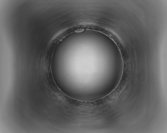 X0000110670919200906121306