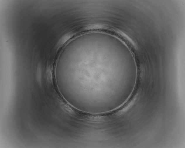 X0000110670921200906121306