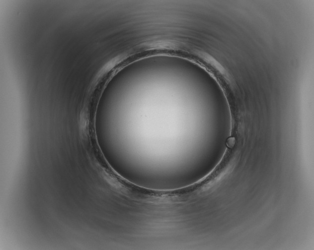 X0000110670922200906121306