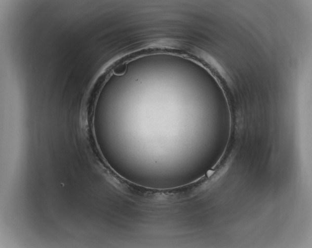 X0000110670923200906121306