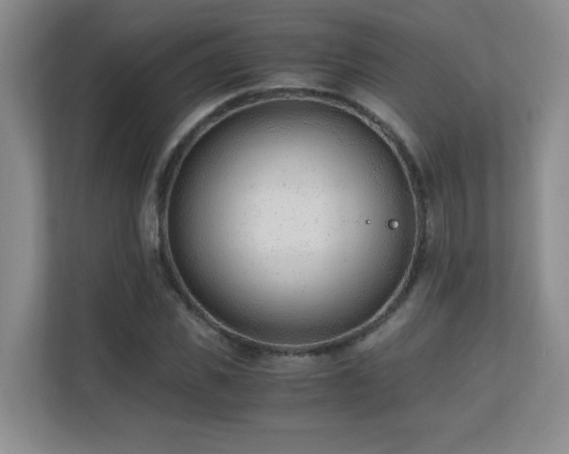 X0000110670925200906121306