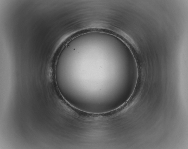 X0000110670926200906121306