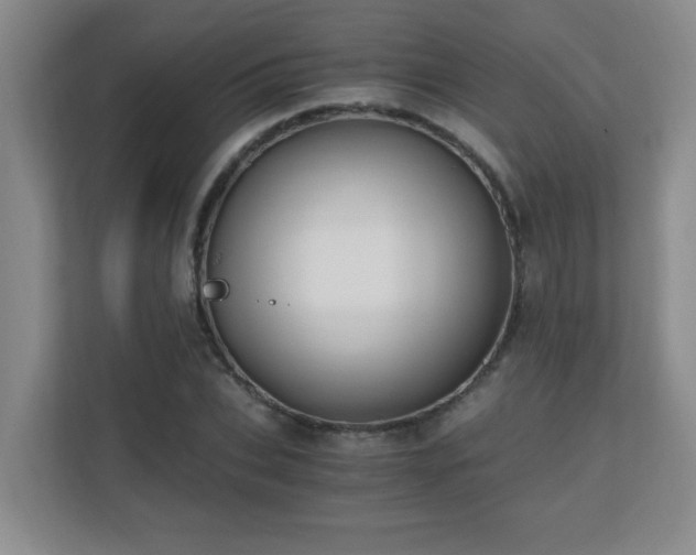 X0000110670927200906121306