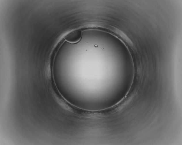 X0000110670934200906121307