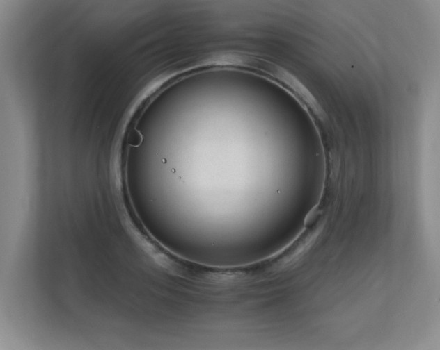 X0000110670939200906121307