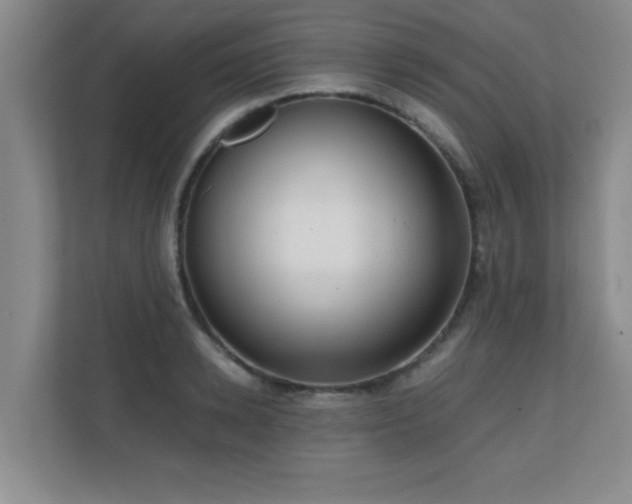 X0000110670942200906121307