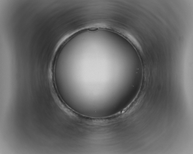 X0000110670944200906121307