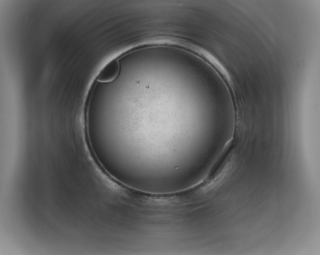 X0000110670951200906121307