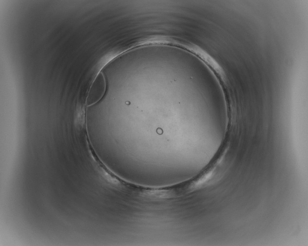 X0000110670953200906121307