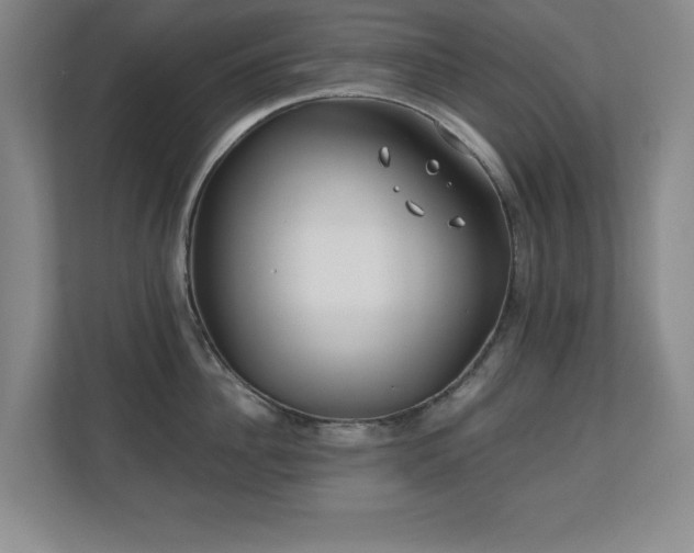 X0000110670956200906121307