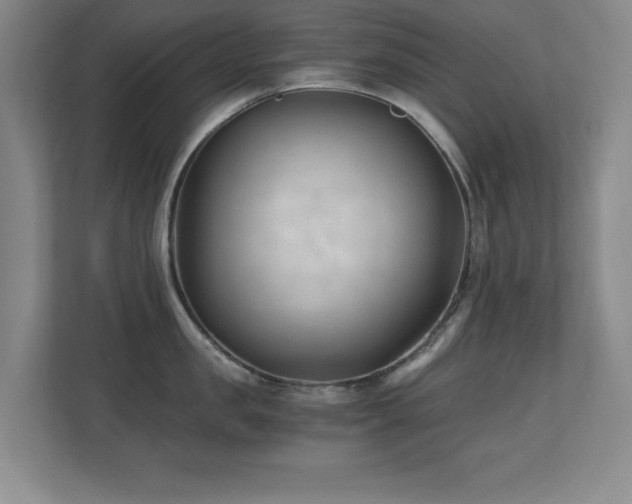 X0000110670957200906121307