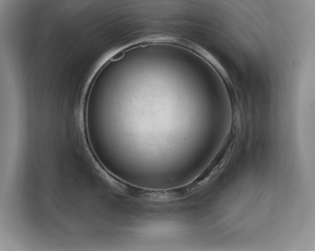 X0000110670959200906121307