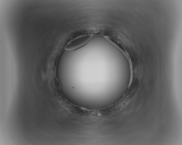 X0000110670961200906121306