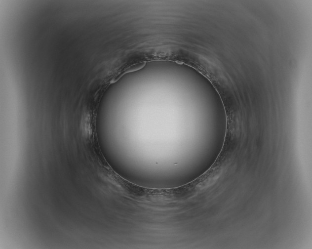 X0000110670962200906121306
