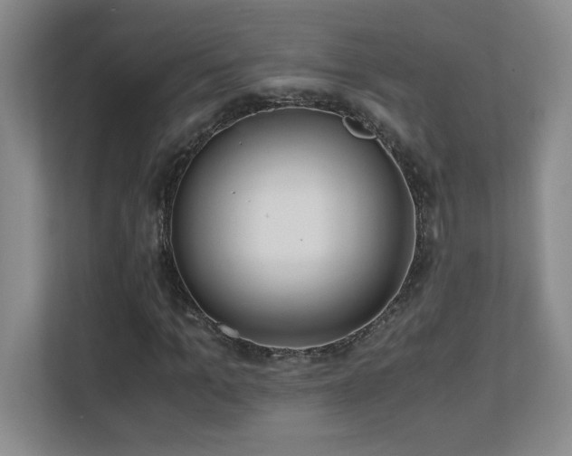X0000110670965200906121306