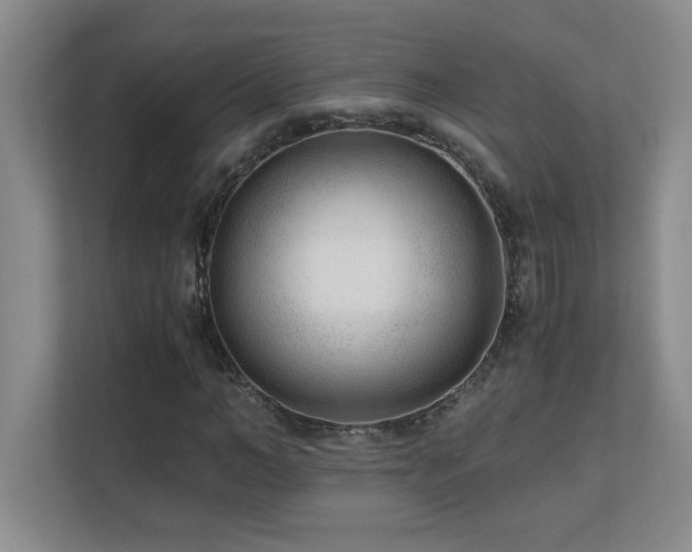 X0000110670966200906121306