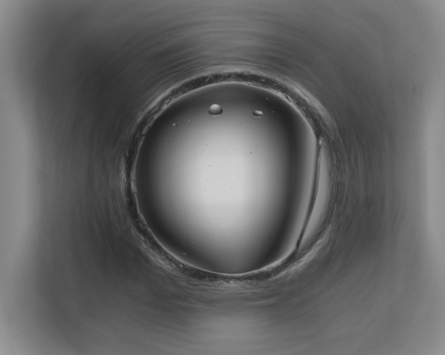 X0000110670969200906121306
