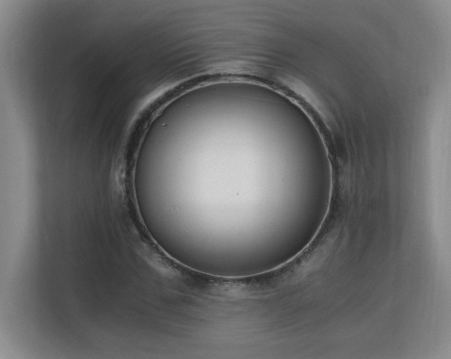 X0000110670971200906121306