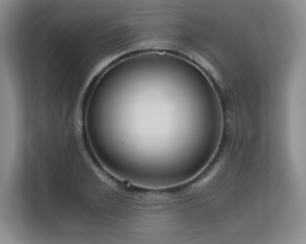 X0000110670981200906121306