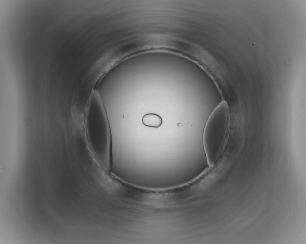 X0000110670985200906121306