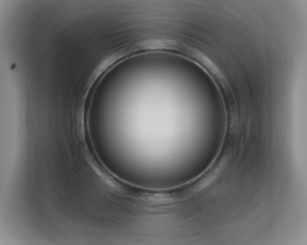 X0000110670986200906121306