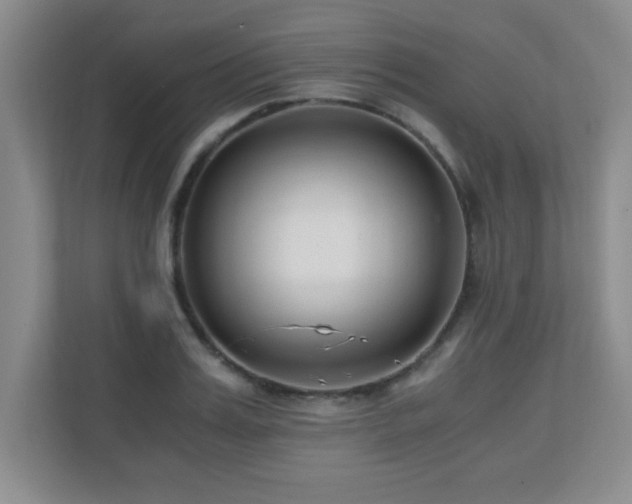 X0000110670987200906121306