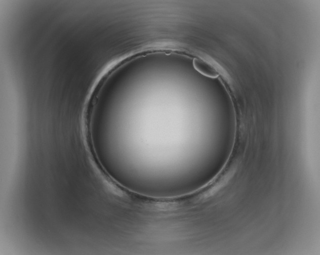 X0000110670989200906121306