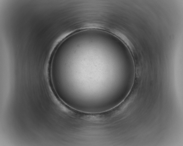 X0000110670995200906121306