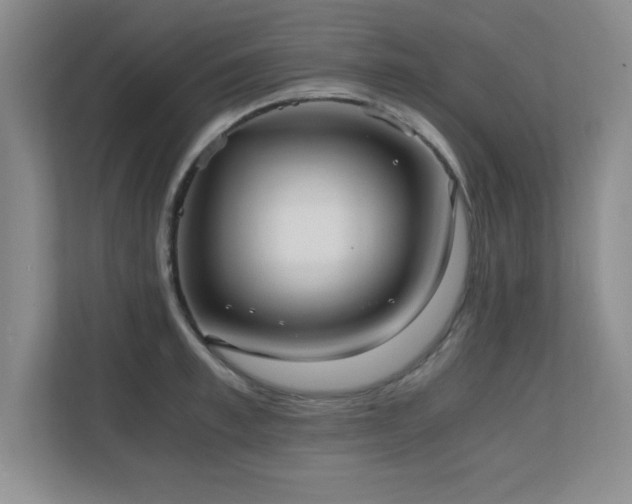 X0000110670997200906121306