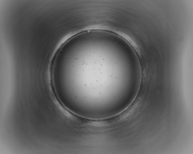 X0000110670998200906121306