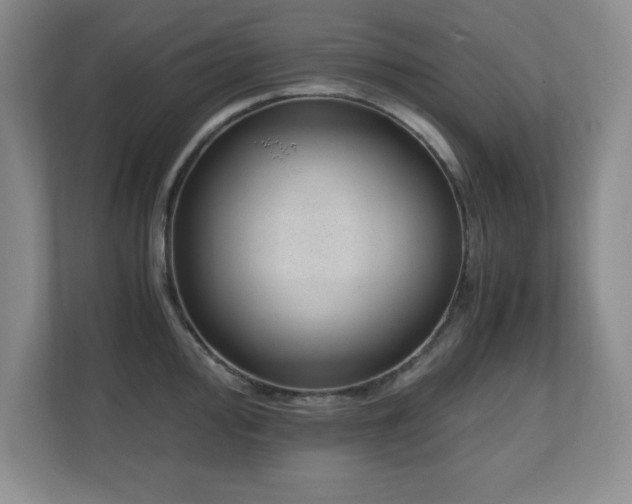 X0000110671000200906121306