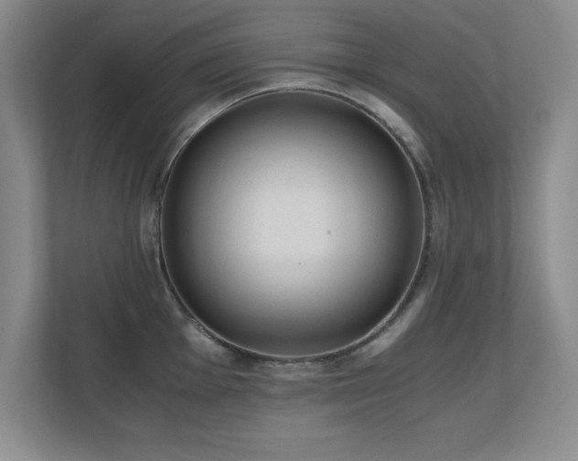 X0000110671001200906121306