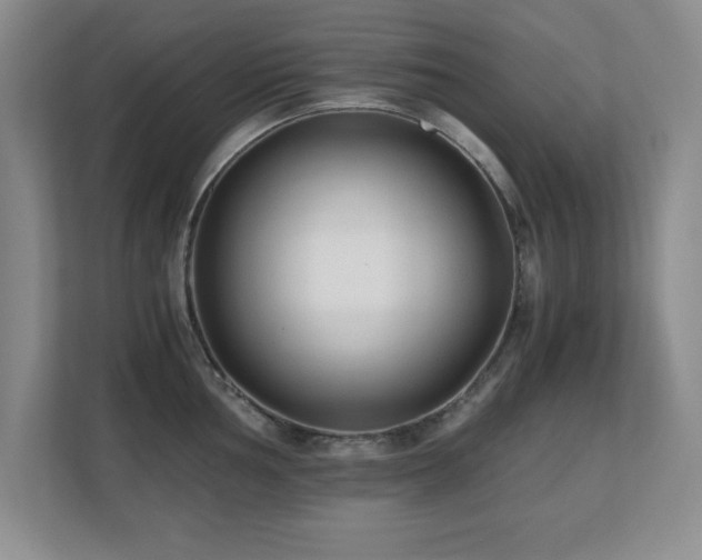 X0000110671002200906121306