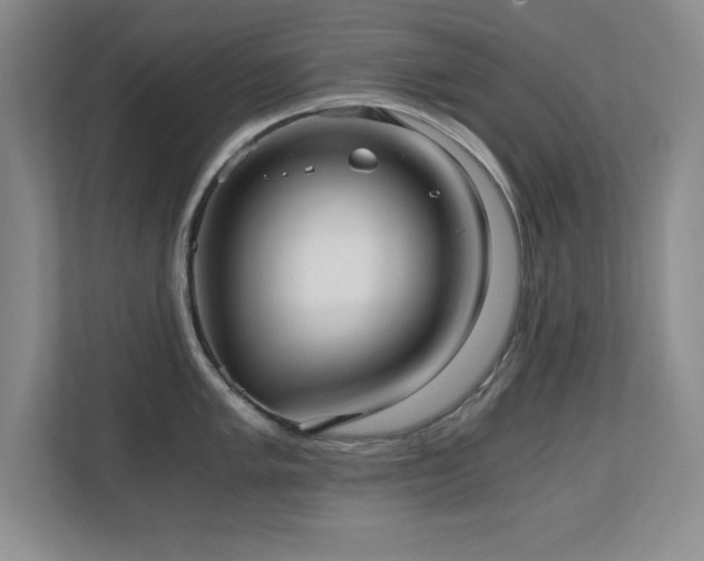 X0000110671005200906121306