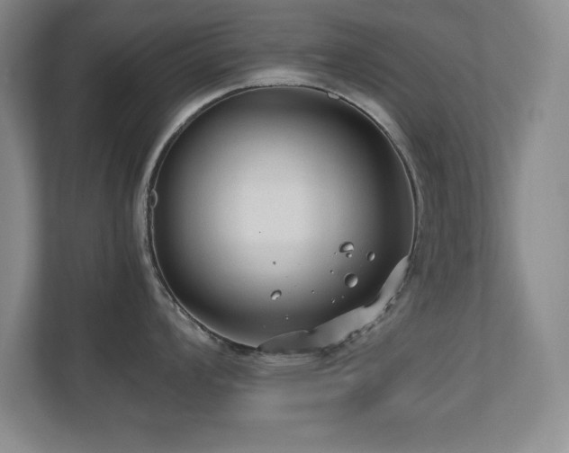 X0000110671008200906121306