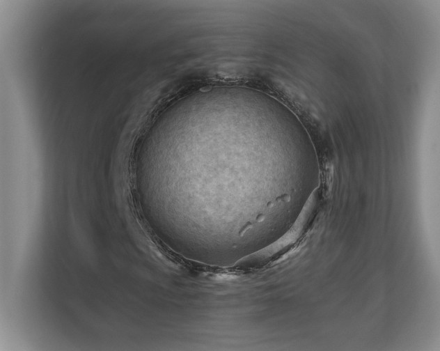 X0000110671009200906121305