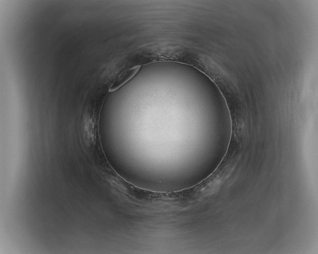 X0000110671010200906121305