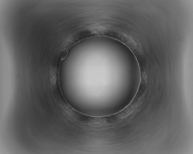 X0000110671012200906121305