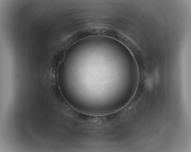 X0000110671013200906121305