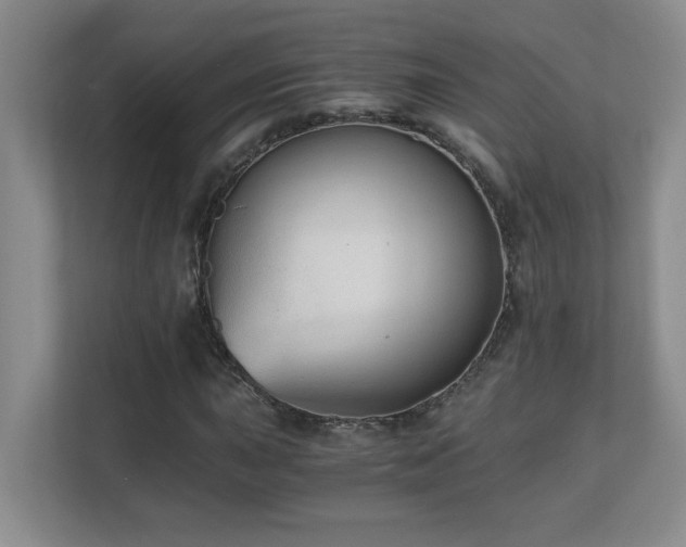 X0000110671015200906121305